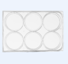 超低吸附6孔細(xì)胞培養(yǎng)板