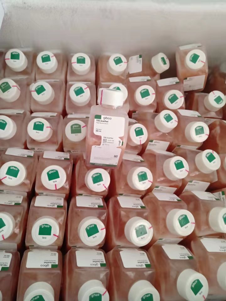 DMEM/高糖(含高糖、L-谷氨酰胺、酚紅，不含丙酮酸鈉、HEPES、磷酸鹽)產(chǎn)品已下架